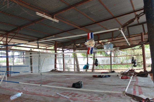 Muay Thai Trainers: Culture and Education