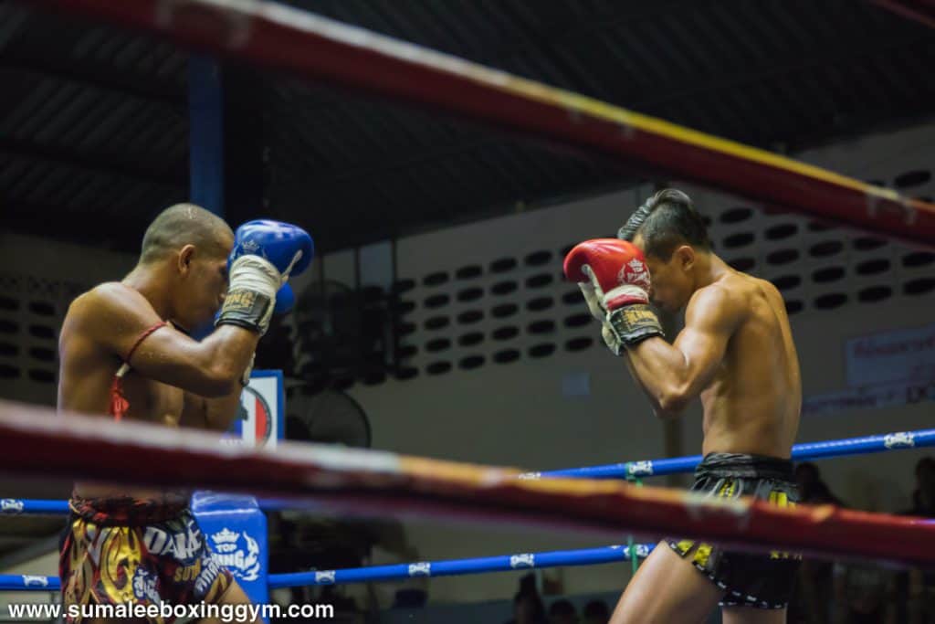 Phunkorn at Patong Boxing Stadium - Fighting - Muay Thai Action