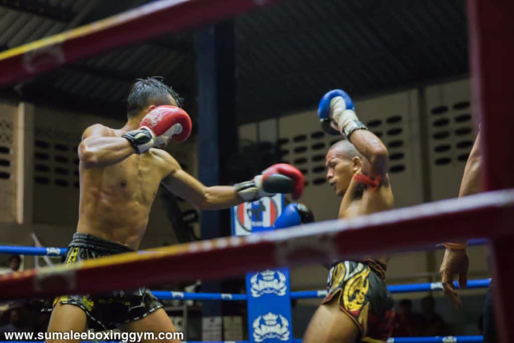 Phunkorn at Patong Boxing Stadium - Straight Jab - Muay Thai Action