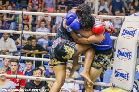 Watch Mintza fight at Bangla Boxing Stadium