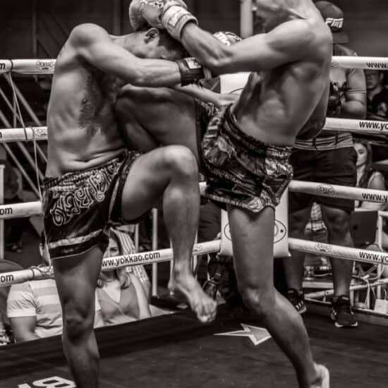 Muay Thai combat knee